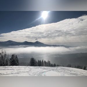 Meet your Posher, Jodie